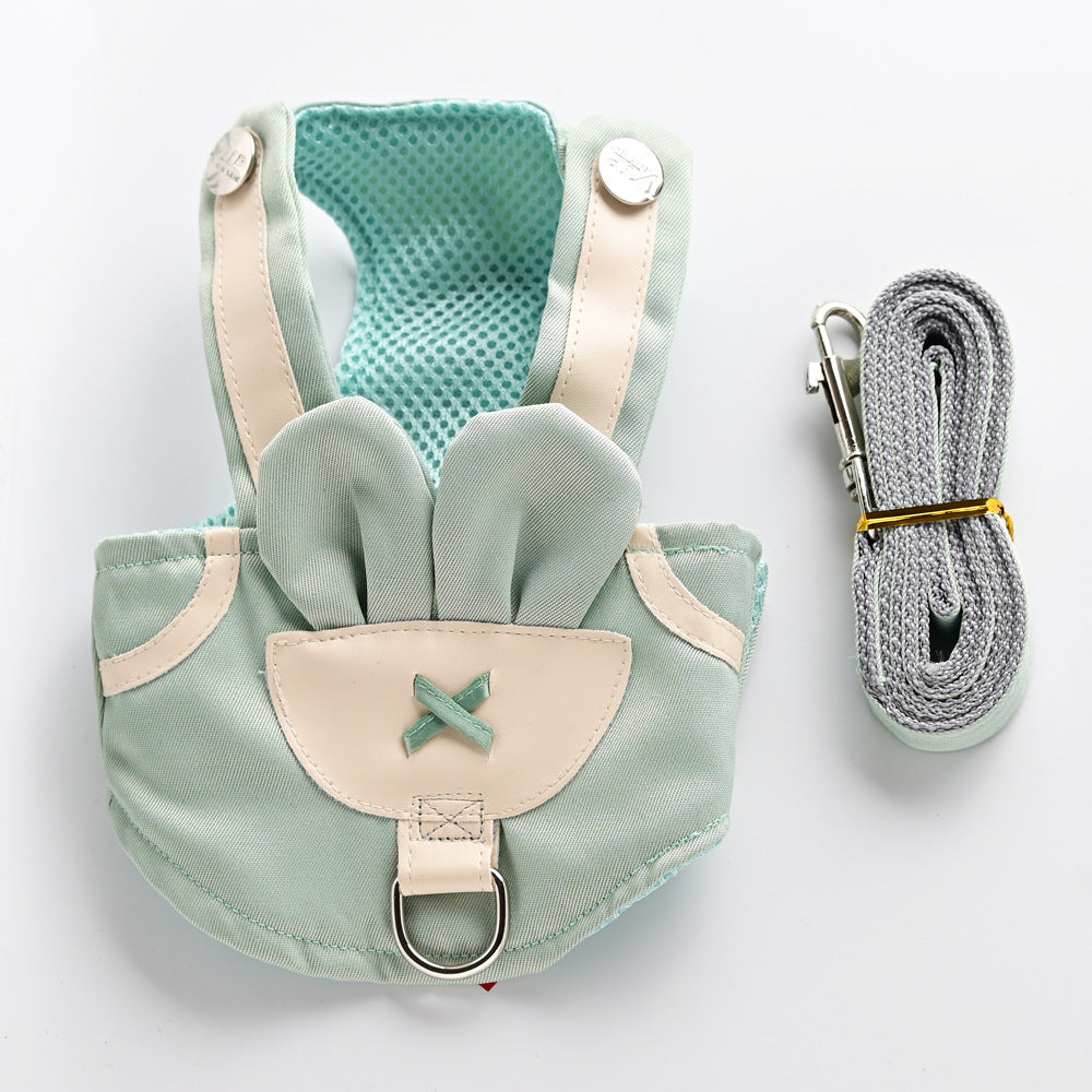 Cute Cat Walking The Dog Leash