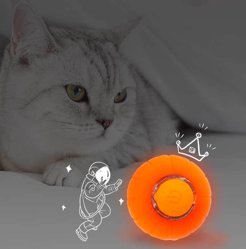 Smart Rolling Ball Pet Cat Toy