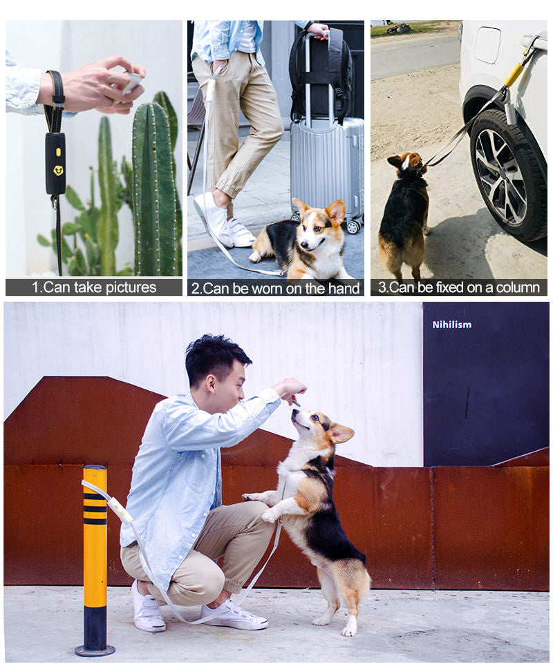 Nylon Small And Medium Pet Dog Elastic Leash