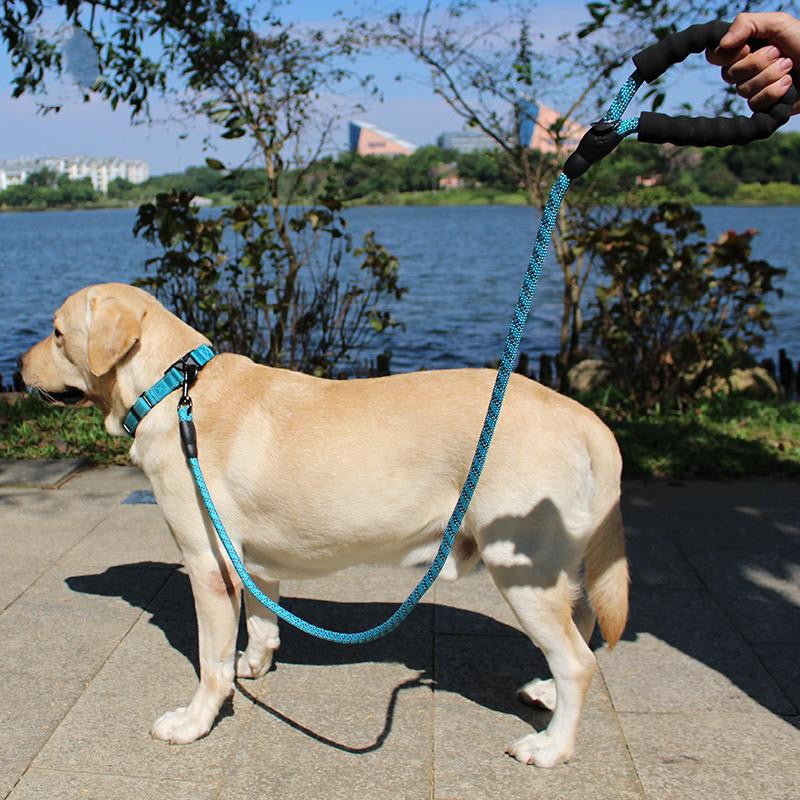 Pure Color Explosion-Proof and Retractable Pet Leash