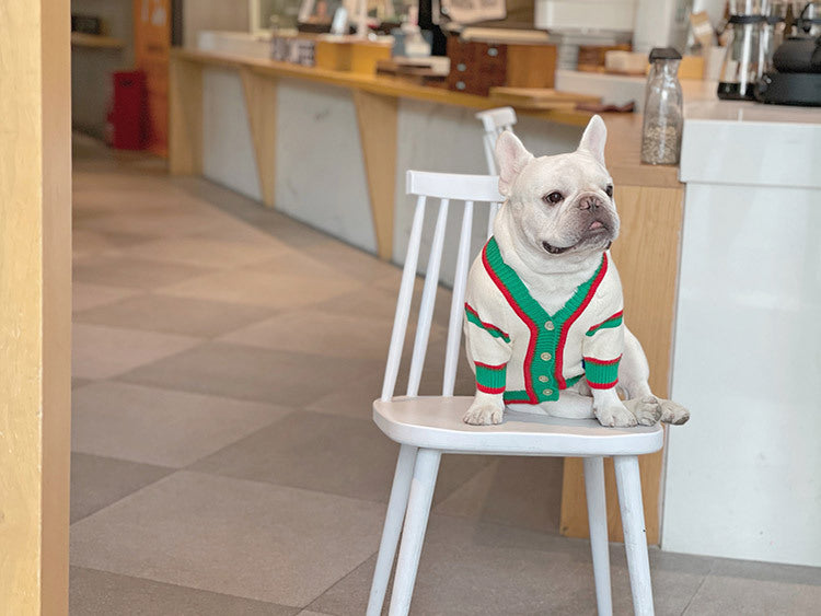 Cat And Dog Winter Pet Coat