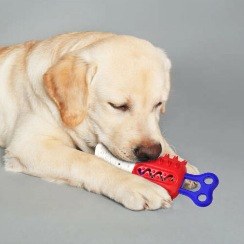 Dog Cleaning Teeth Chew Toys