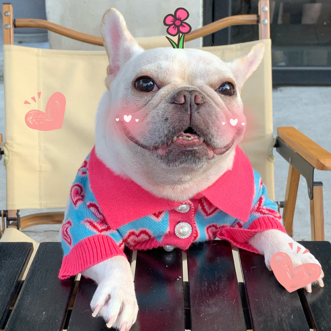 Pet Trendy Dog Sweater Cat French Schnauzer