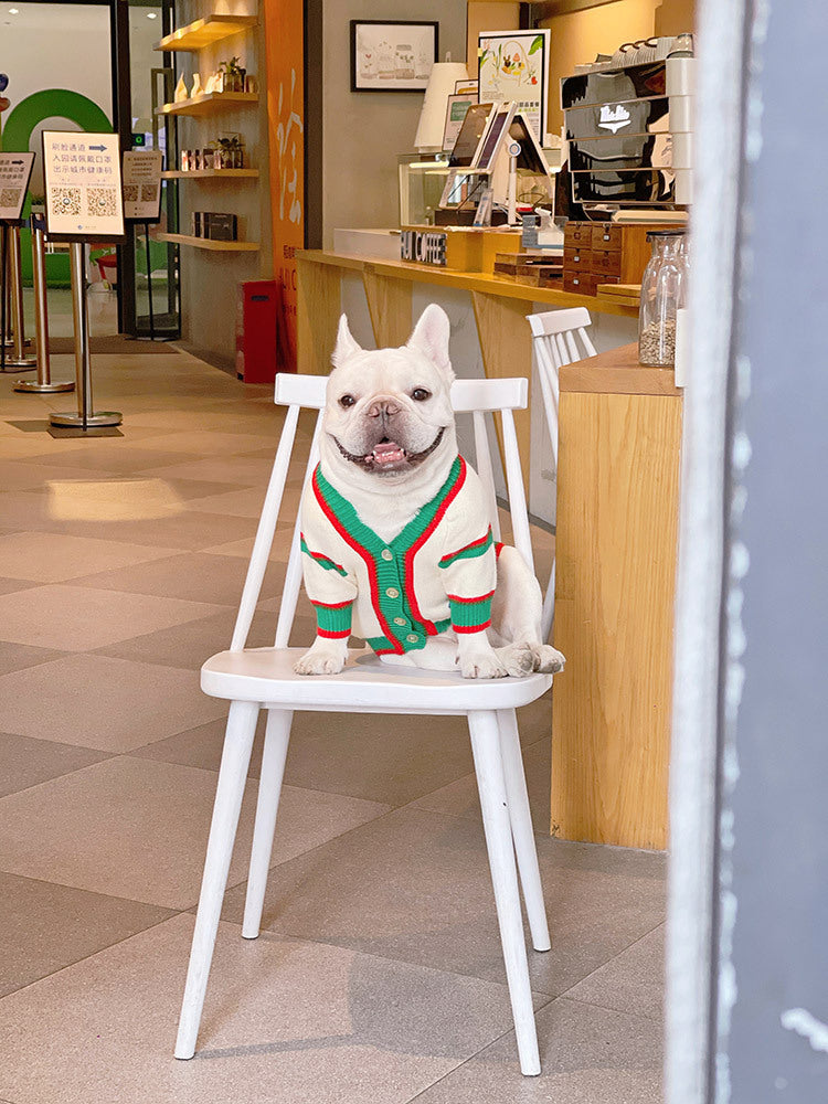 Cat And Dog Winter Pet Coat