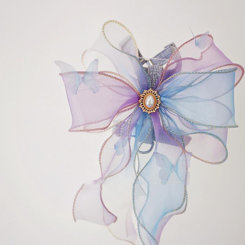 Pet Cat And Puppy Go Out Leash