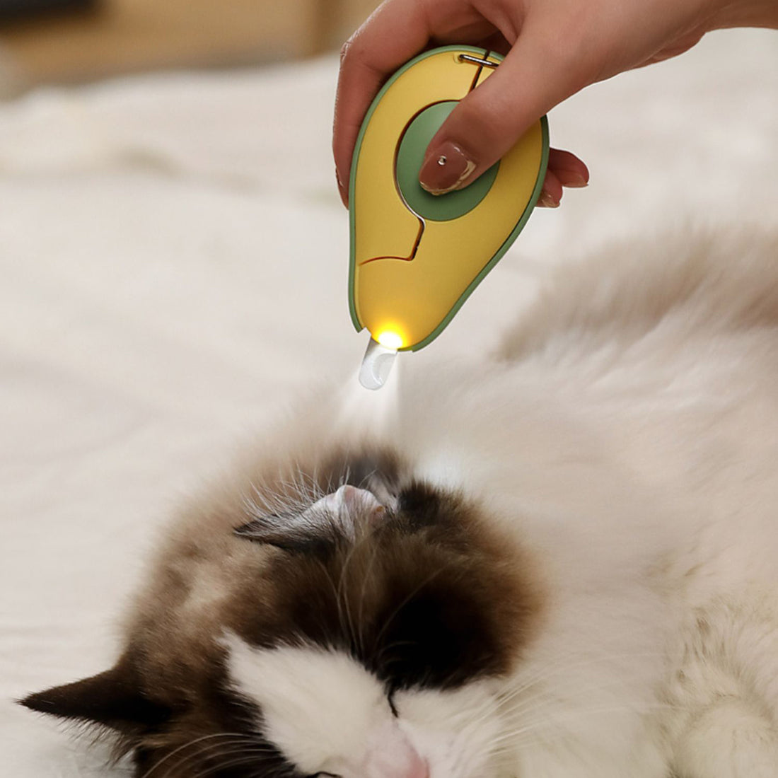 Pet Nail Clipper Claw Grooming Scissors