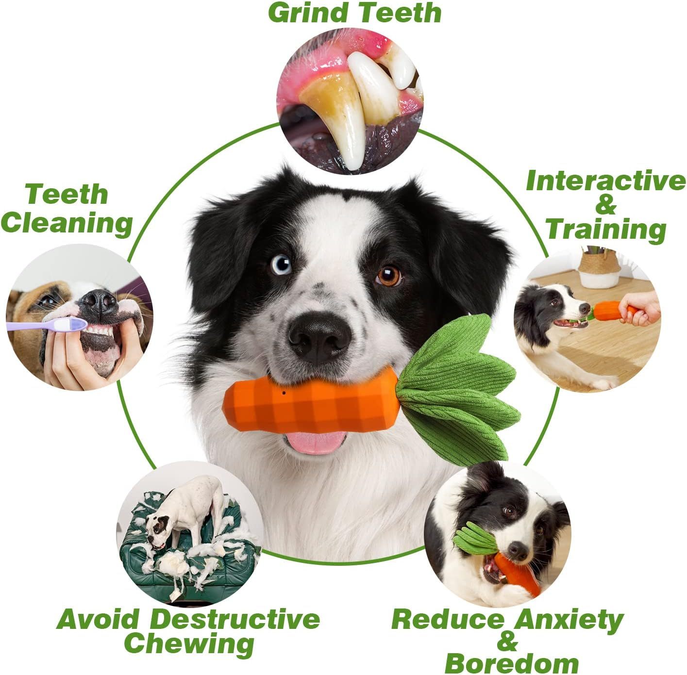 Dog Squeaky Chew Toys For Aggressive Chewers Rubber Carrot Dog Toys For Training And Cleaning Interactive Tough Dog Toy For Medium Dogs