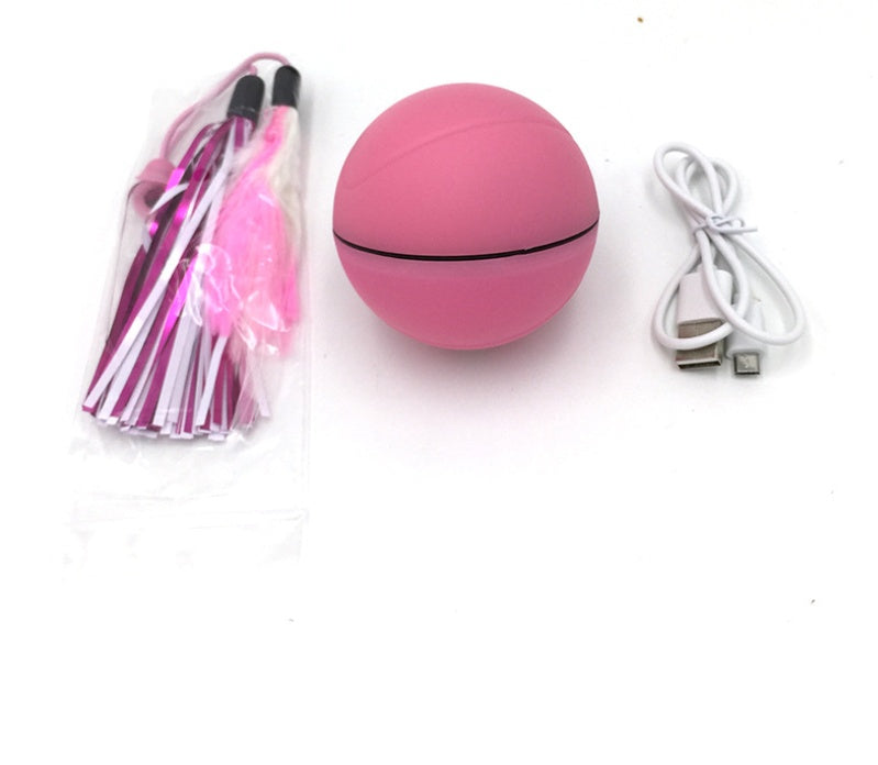 Pet Electric Toy Ball Laser Ball