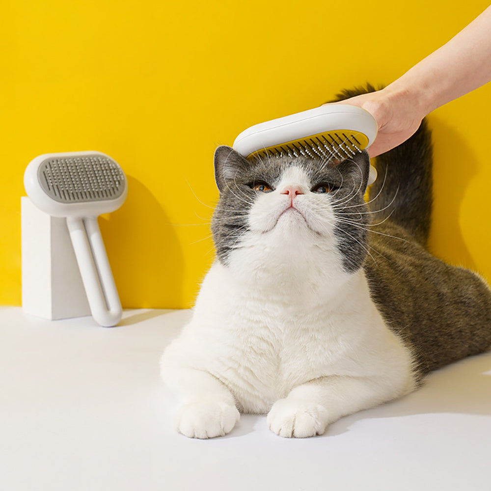 Pet Hair Cleaner Brush
