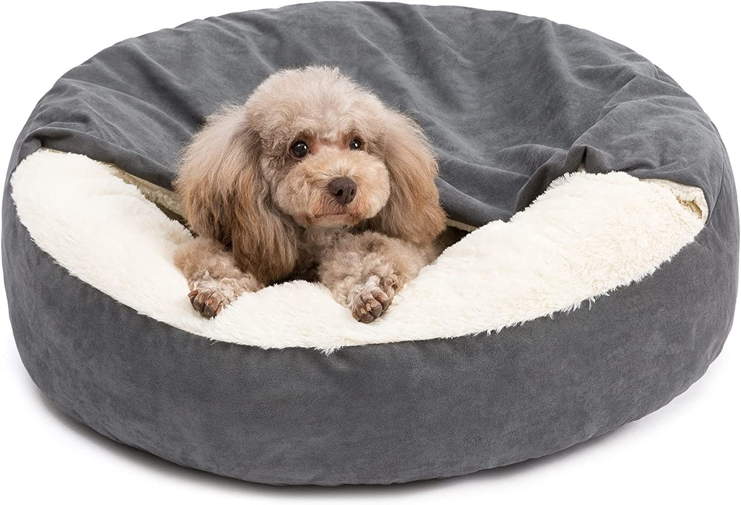 Pet Bed Teddy Small And Medium Dogs Mat