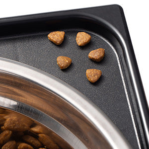 Pet Lifting Feeding Bowl Neck Protection Anti-tumble Medium Large Dog Dedicated