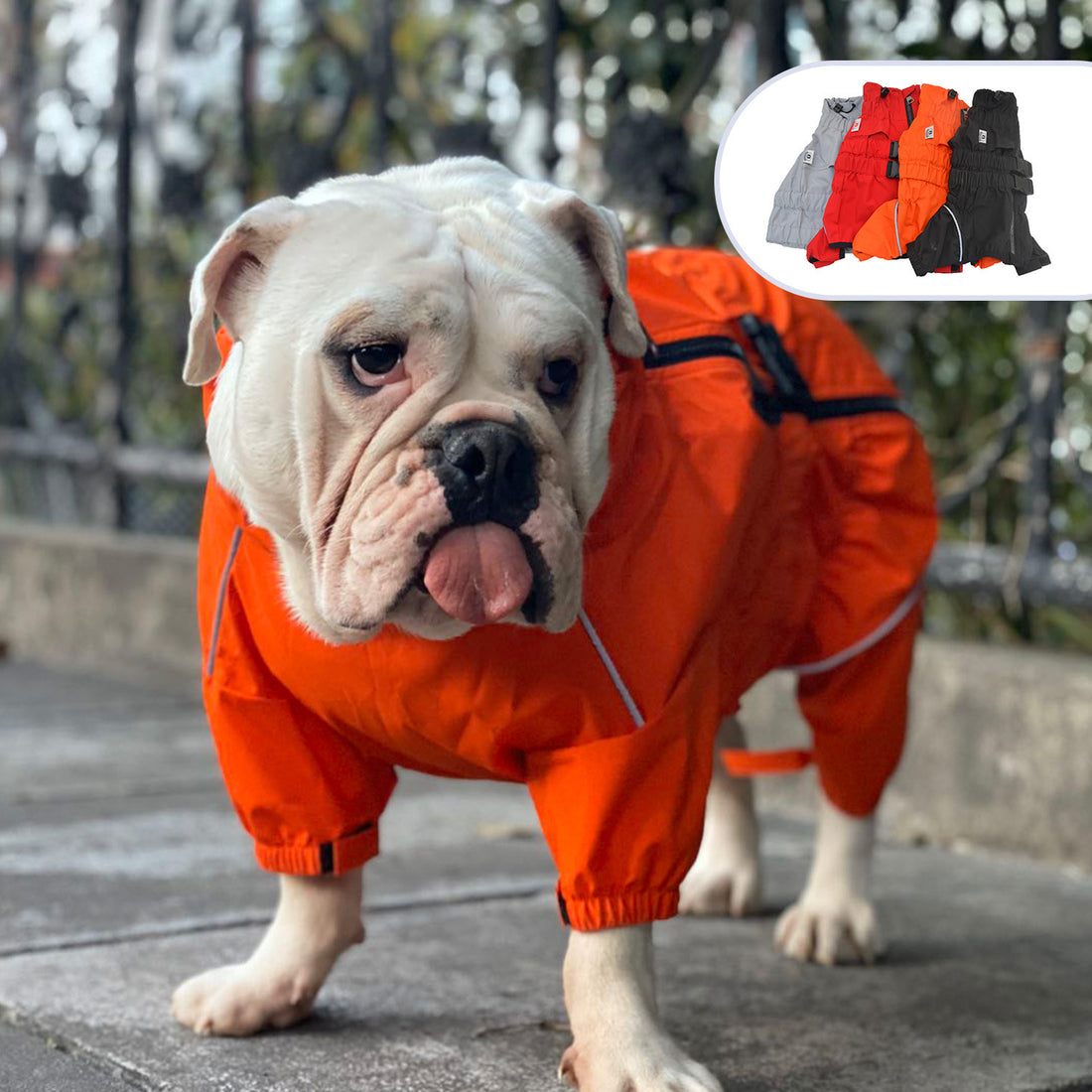 Dog Outdoor Clothing Raincoat