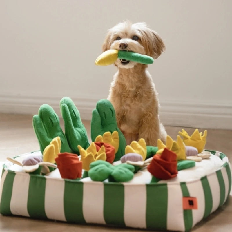Pet Dog Food Educational Toys