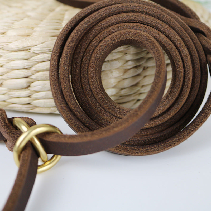 Pet Integrated Leather Hand Holding Rope Training Pet Leash