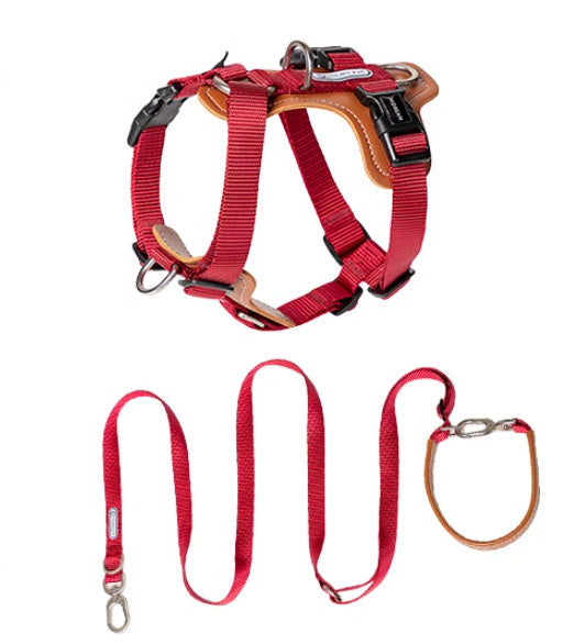 Dog Rope Leash Chest Strap