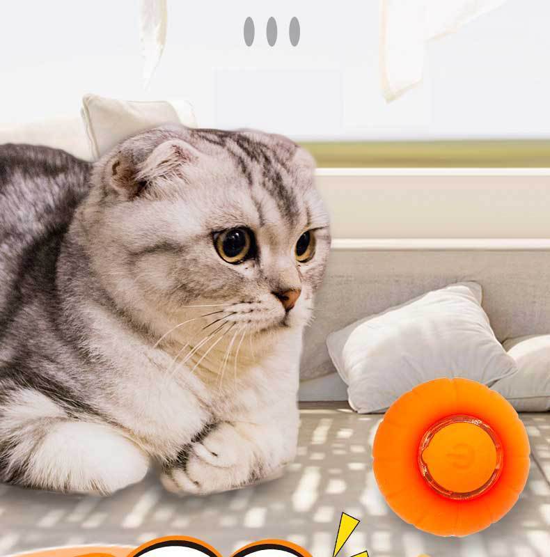 Smart Rolling Ball Pet Cat Toy