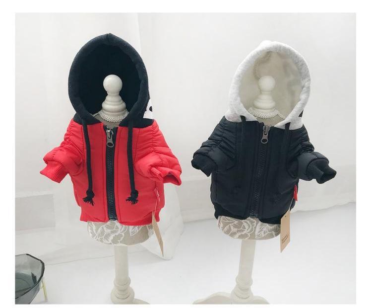 Cat Small Dog Two-legged Clothes