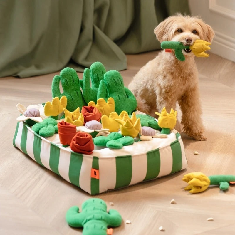 Pet Dog Food Educational Toys