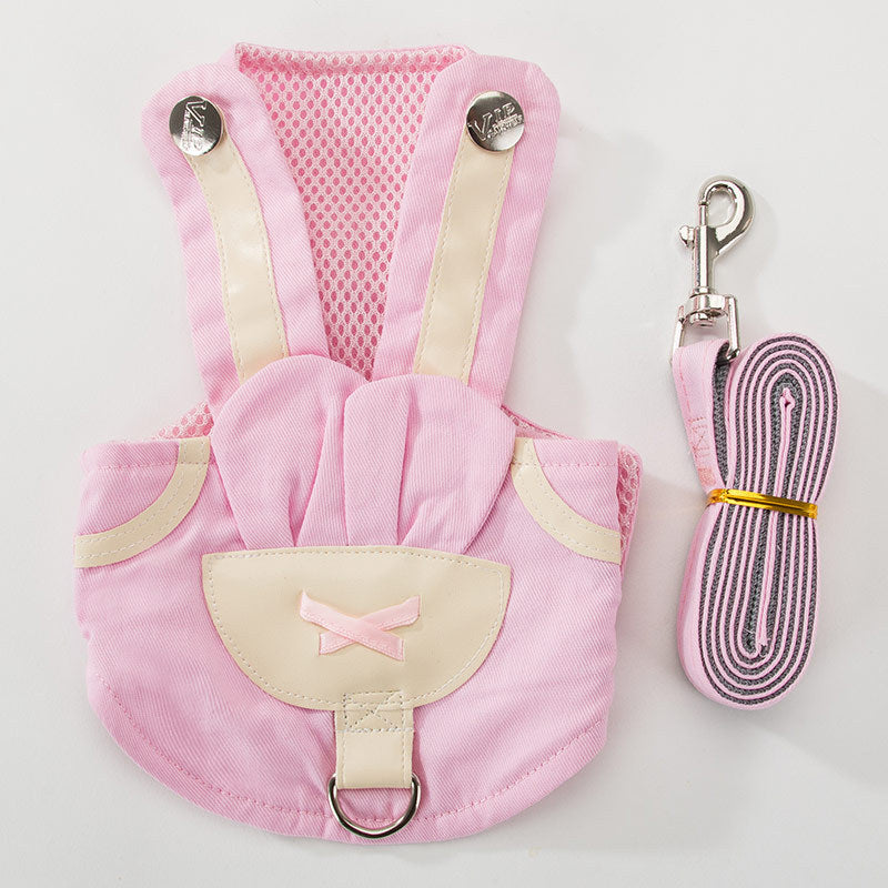 Cute Cat Walking The Dog Leash