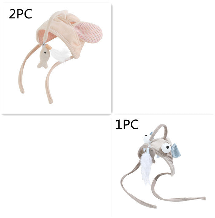 Head Wearing Feather Funny Cat