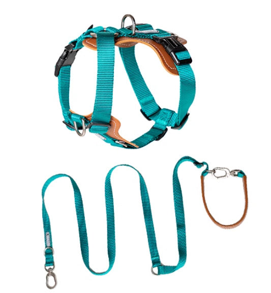 Dog Rope Leash Chest Strap