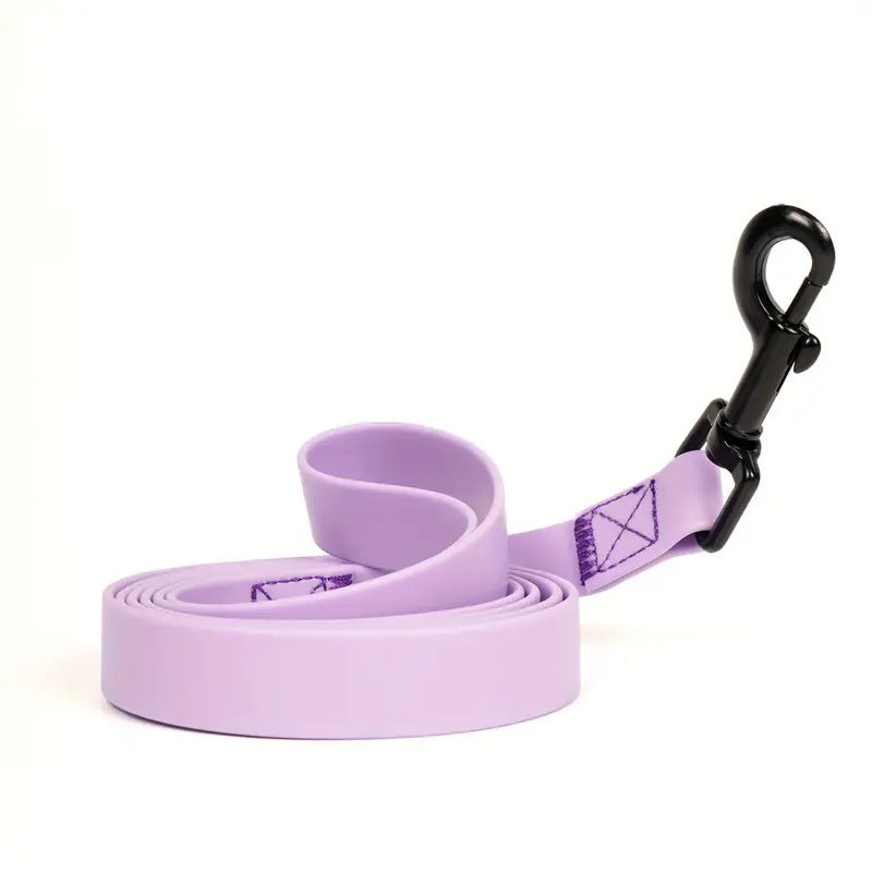 Simple Solid Color Plain Weave Pet Leash