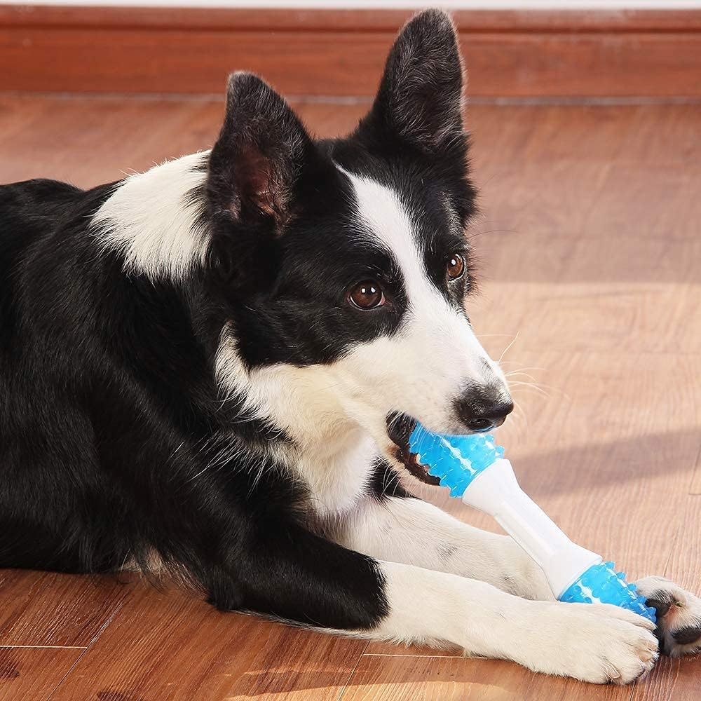 Puppy Teething Chew Toys Up To Dog Dental Chew Toys For Gentle Chewers Promotes Dental Health Reduces Teething Discomfort Boredom Freshen Breath Made Rubber