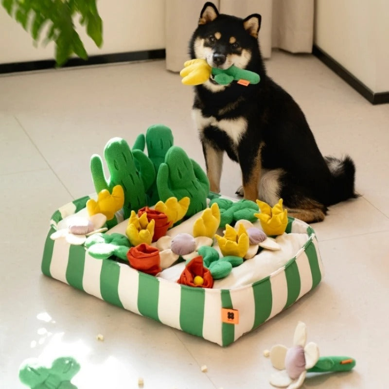 Pet Dog Food Educational Toys