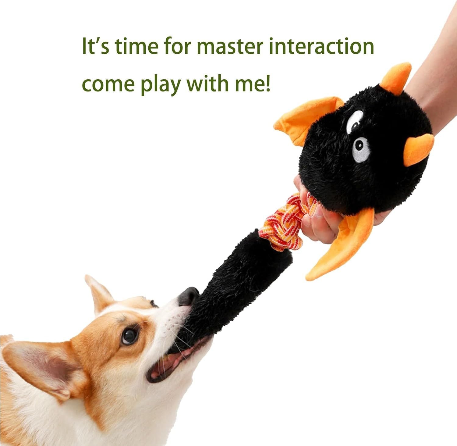 Plush Dog Toys Squeaky Dog