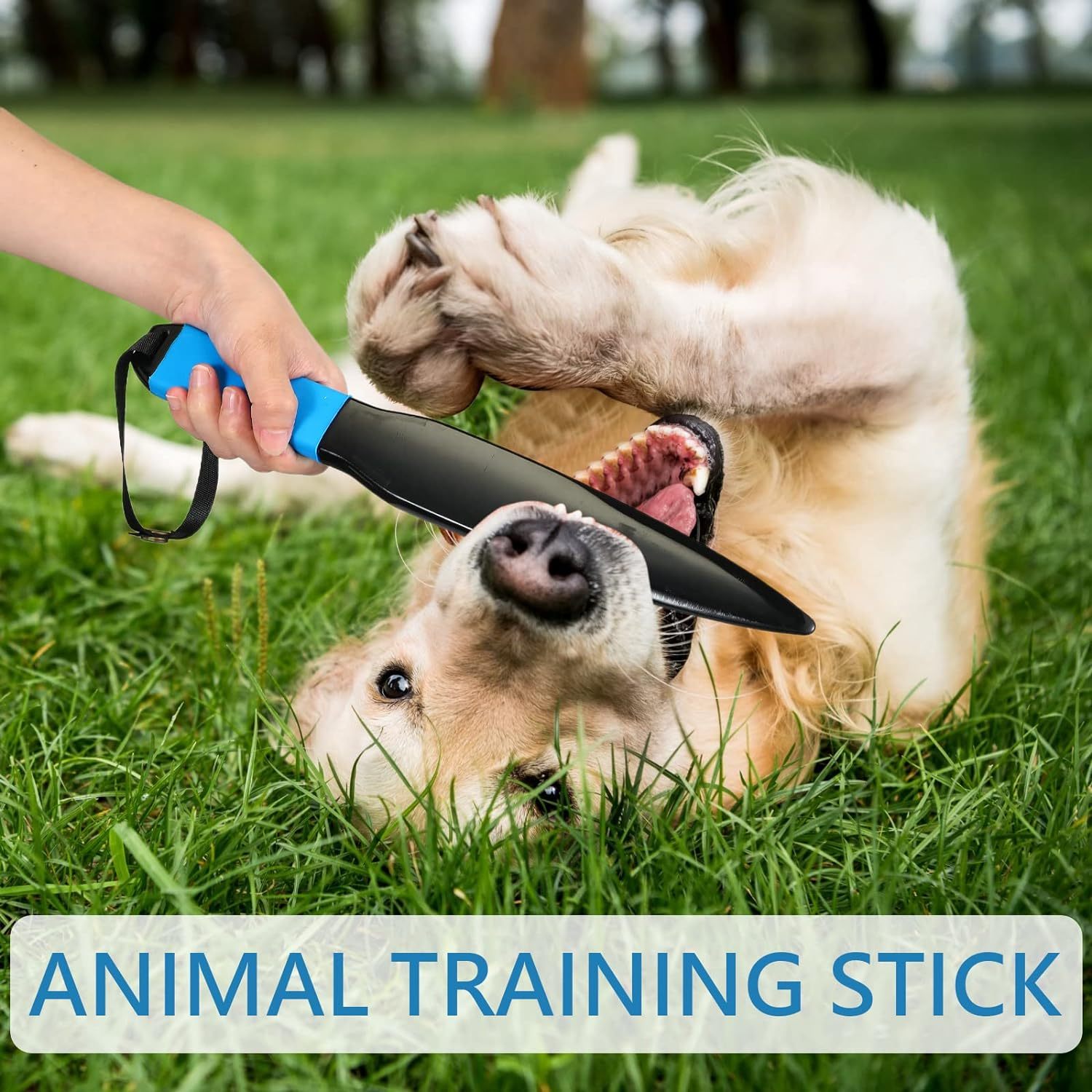 Dog Break Stick Dog No Bite Sticks Dog Bite Training Stick Pet Chew Toys For Small Medium Dogs Pet Supplies Large Dog Toy