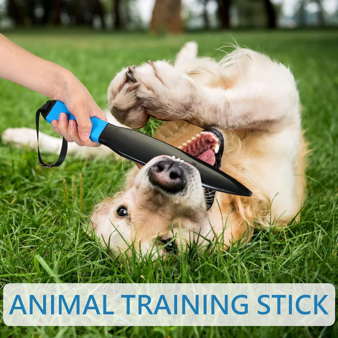 Dog Break Stick Dog No Bite Sticks Dog Bite Training Stick Pet Chew Toys For Small Medium Dogs Pet Supplies Large Dog Toy