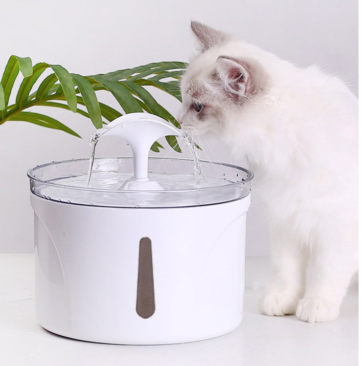 Pet Water Dispenser Intelligent Circulating