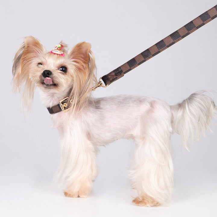 Pet Dog PU Collar Leash Set