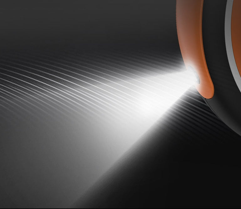 Pet Retractable Leash Dog Chain