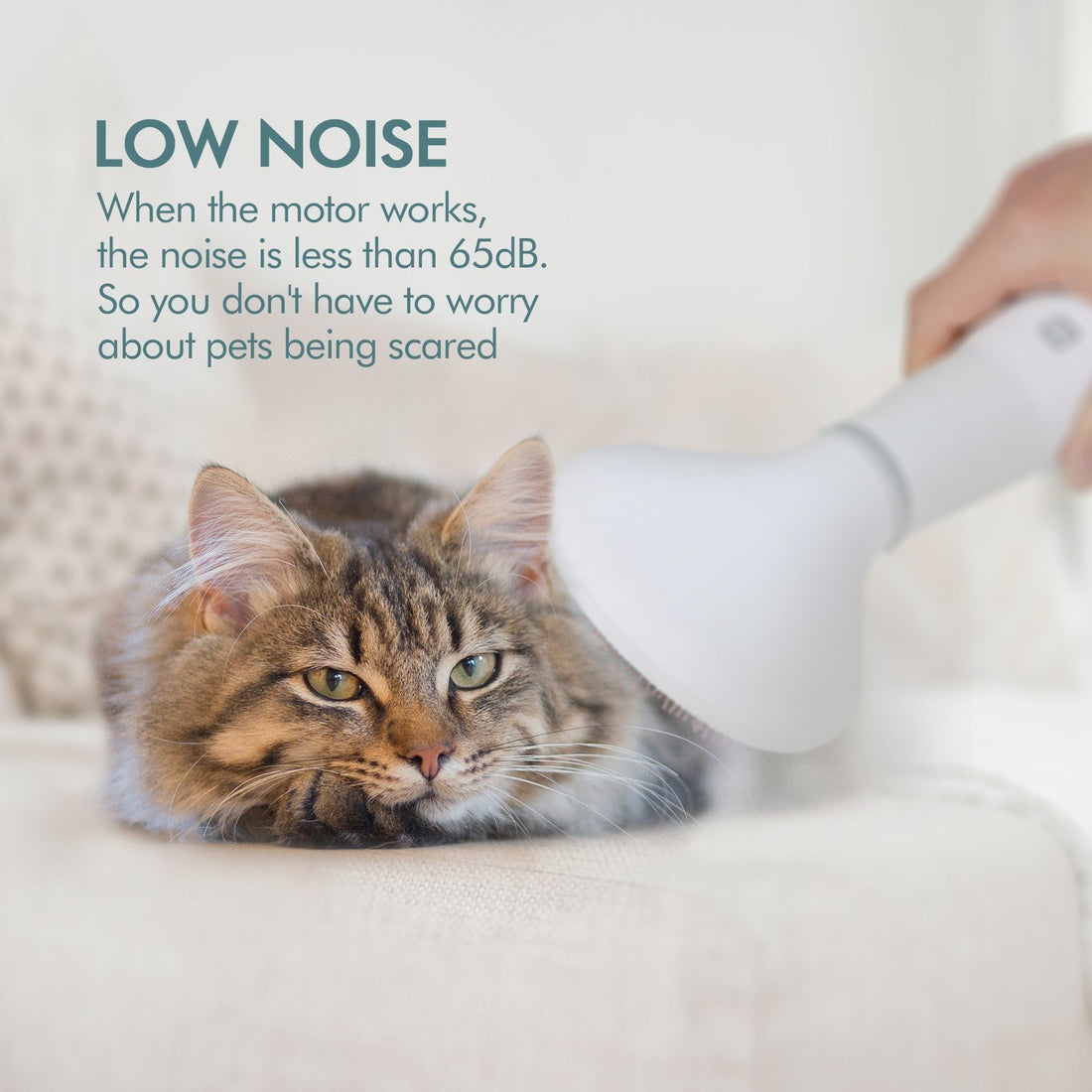 Dog Hair Dryer Grooming Dryer Slicker Brush