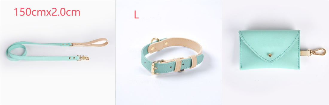 Leather Pet Dog Leash Collar Set