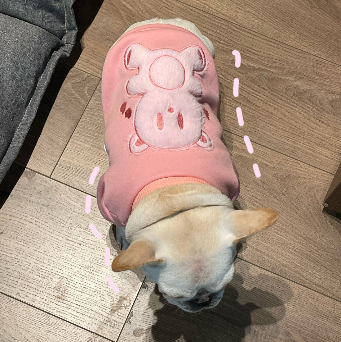 Pet Clothes Dog Plush Princess Sweater