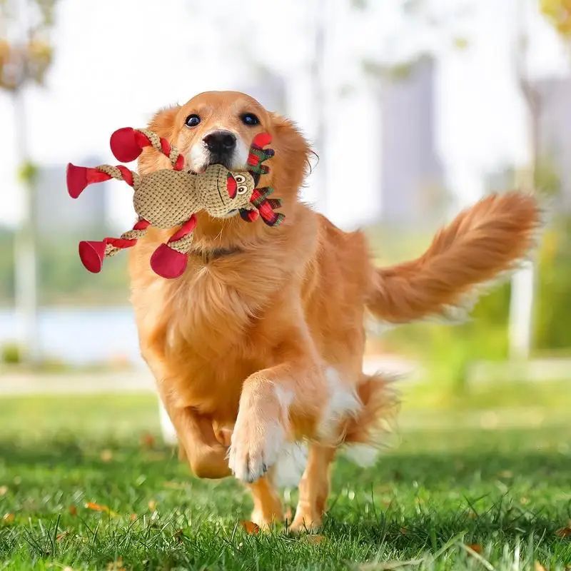 Interactive Christmas Dog Toys