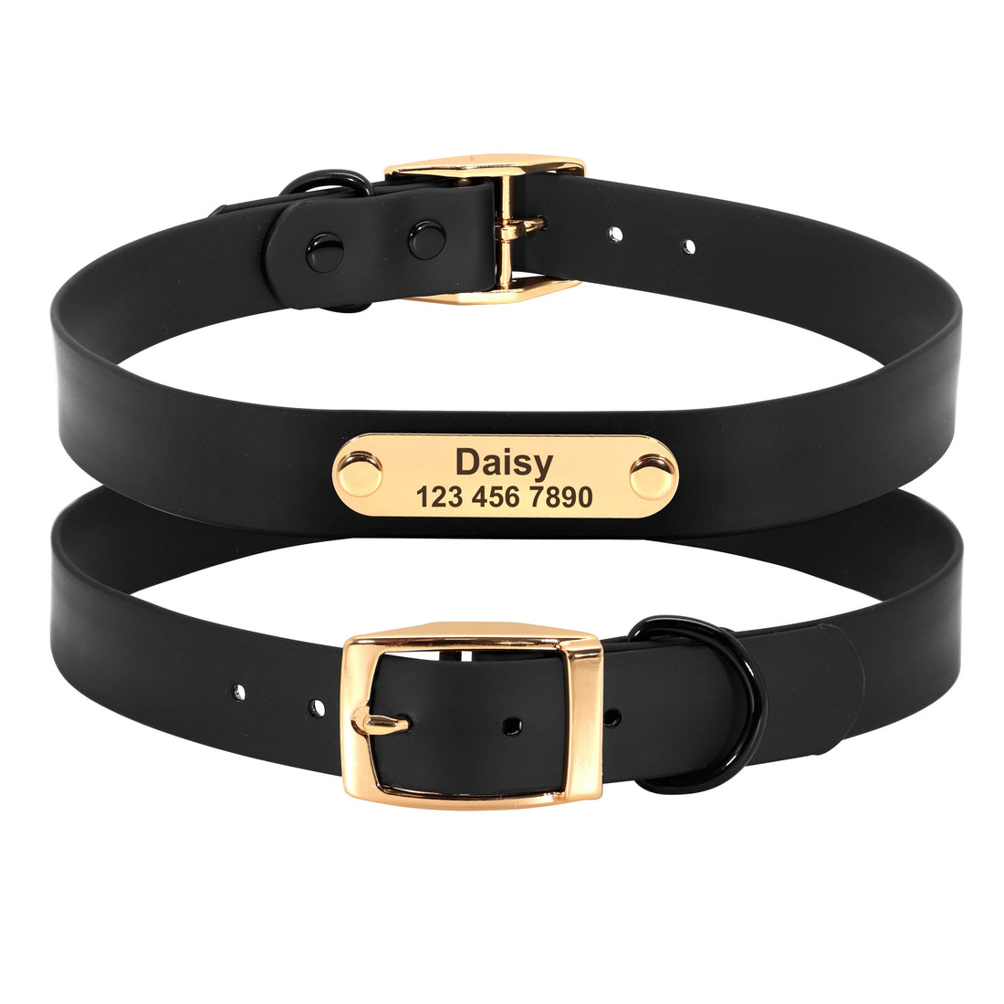 Collar Leash Medium Dog Teddy