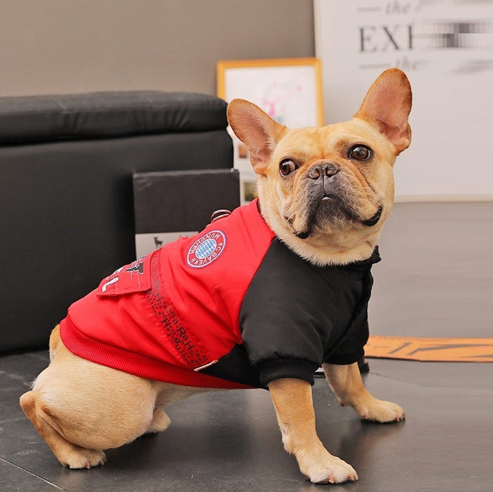 Winter Dog Padded Coat