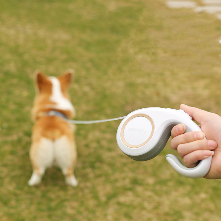 Pet Dog Retractable Leash