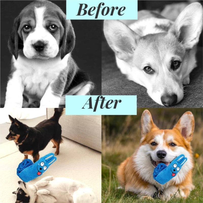 Squeaky Dog Puzzle Toys