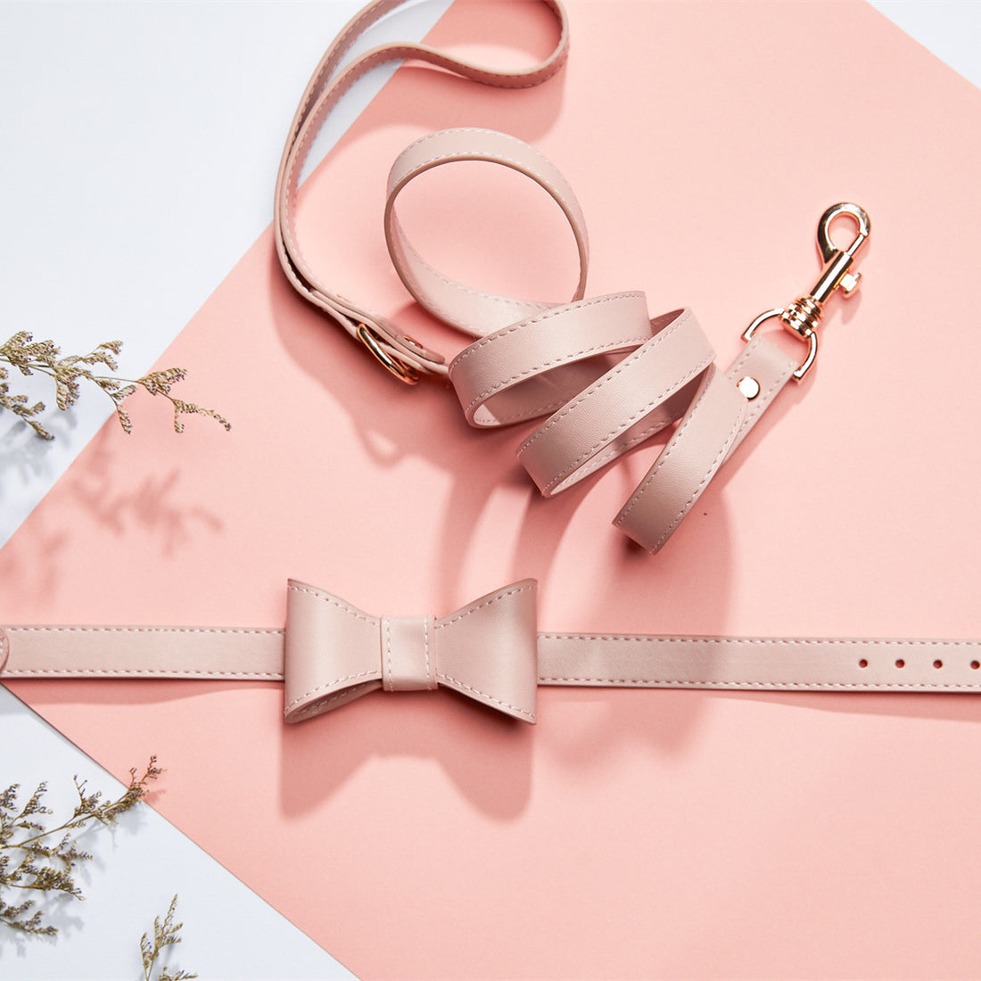 Pet Cute Bow Collar Leash Set