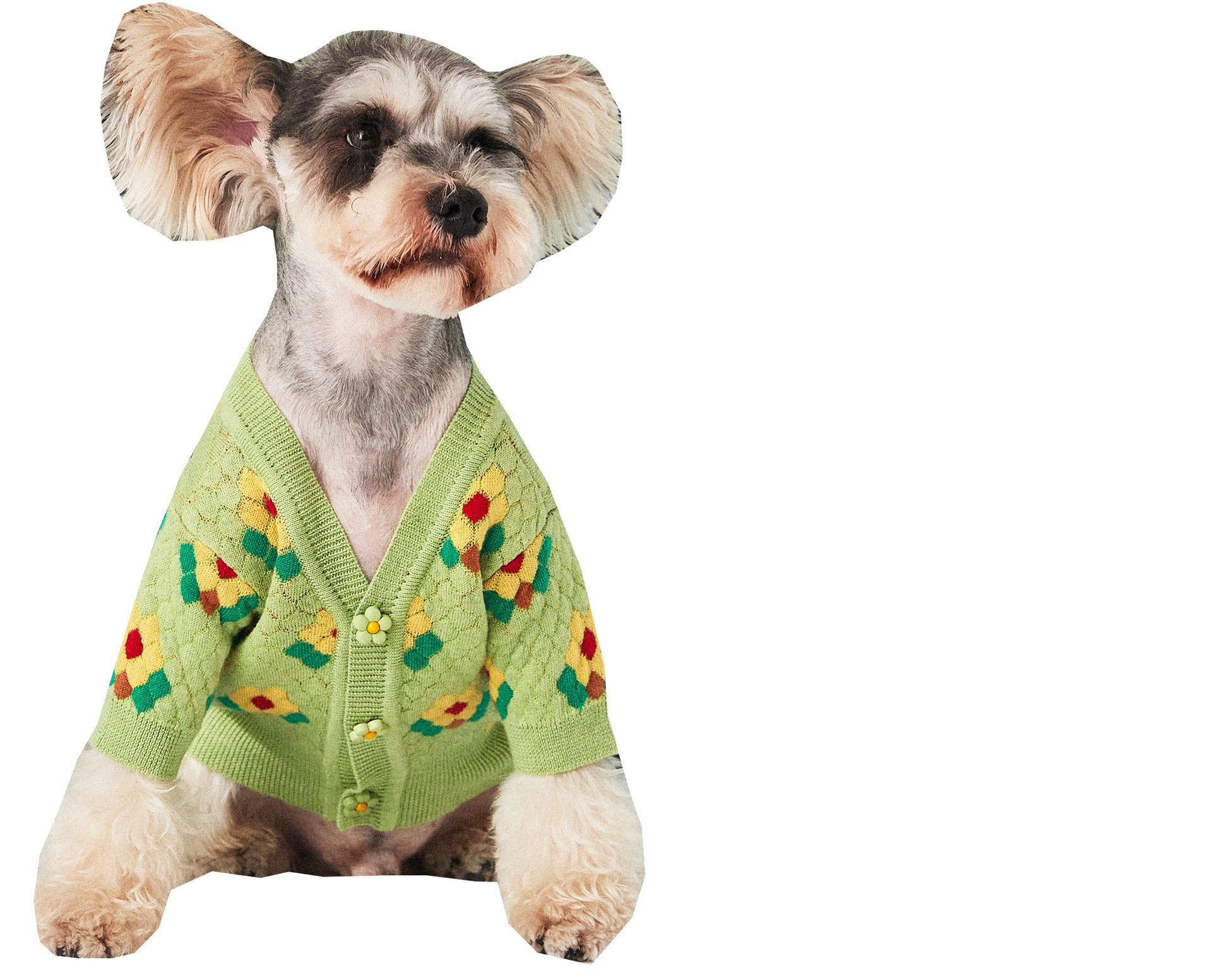 Pet Clothes Small Flower Dog Sweater