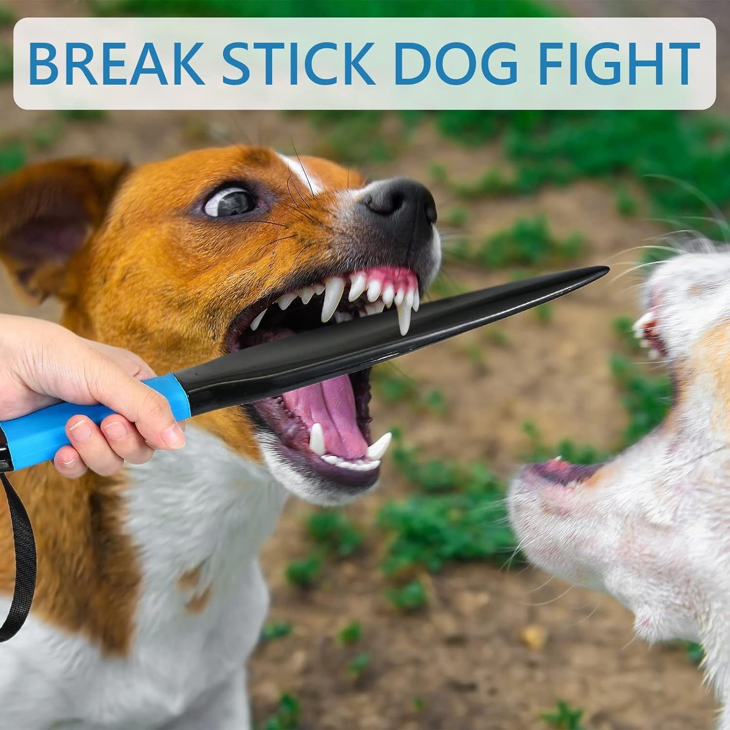 Dog Break Stick Dog No Bite Sticks Dog Bite Training Stick Pet Chew Toys For Small Medium Dogs Pet Supplies Large Dog Toy