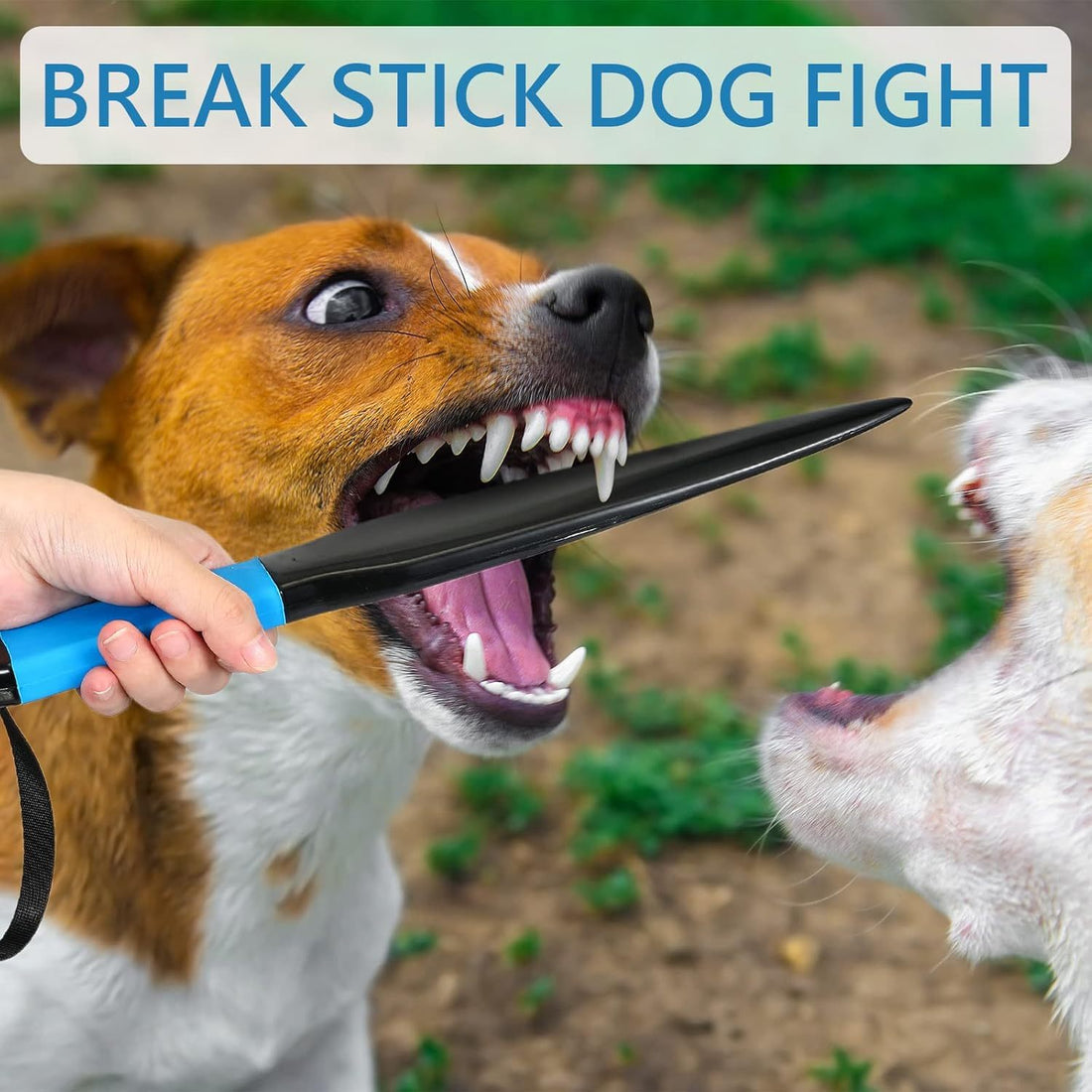 Dog Break Stick Dog No Bite Sticks Dog Bite Training Stick Pet Chew Toys For Small Medium Dogs Pet Supplies Large Dog Toy