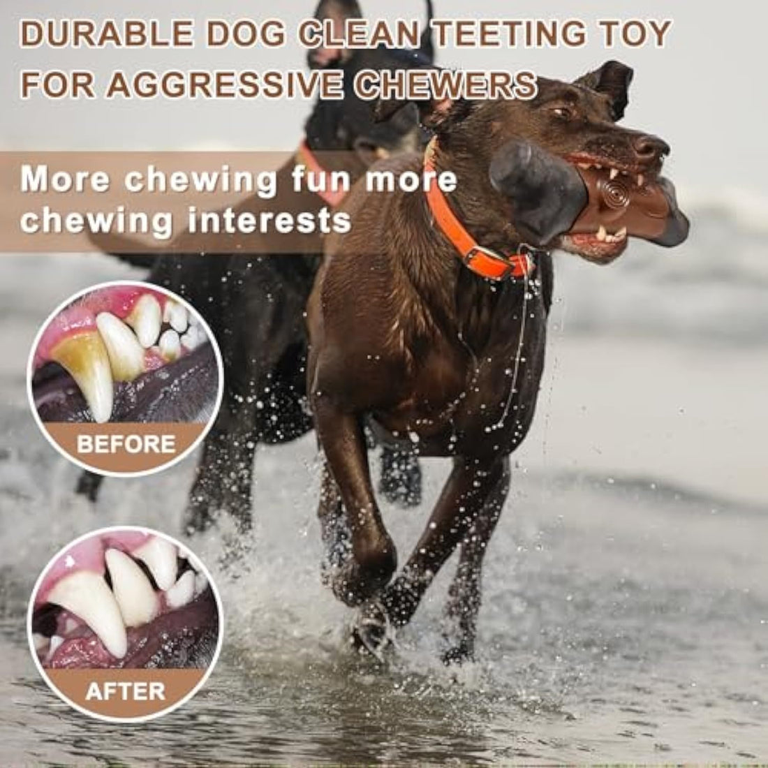 Dog Toys For Aggressive Chewers