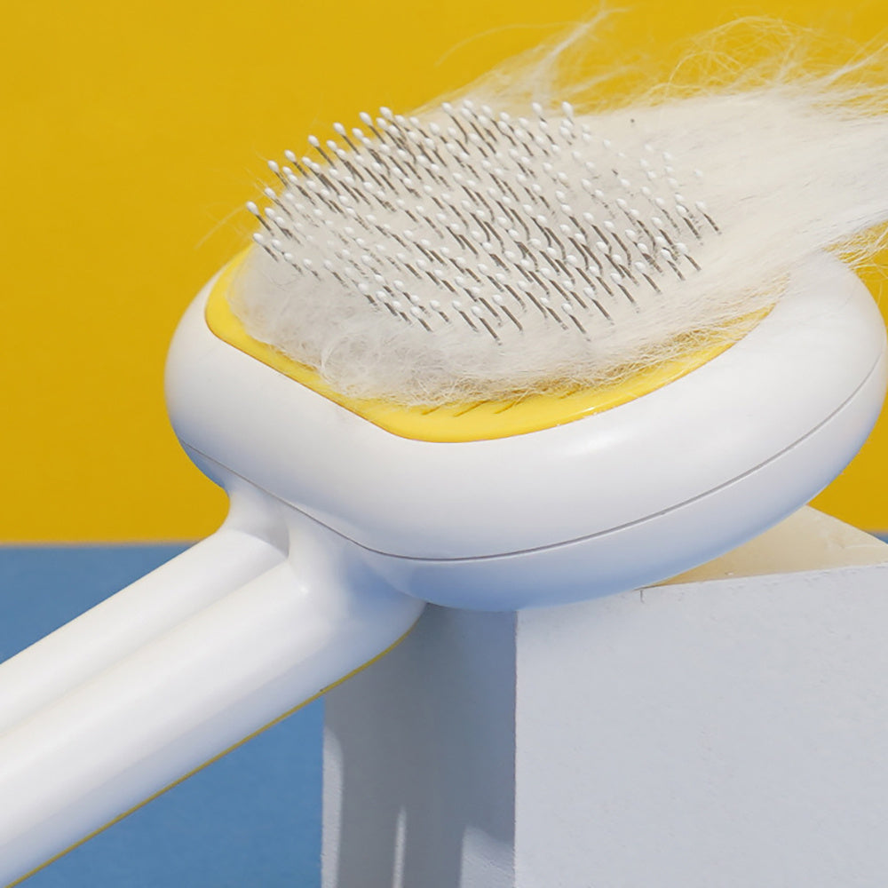 Pet Hair Cleaner Brush