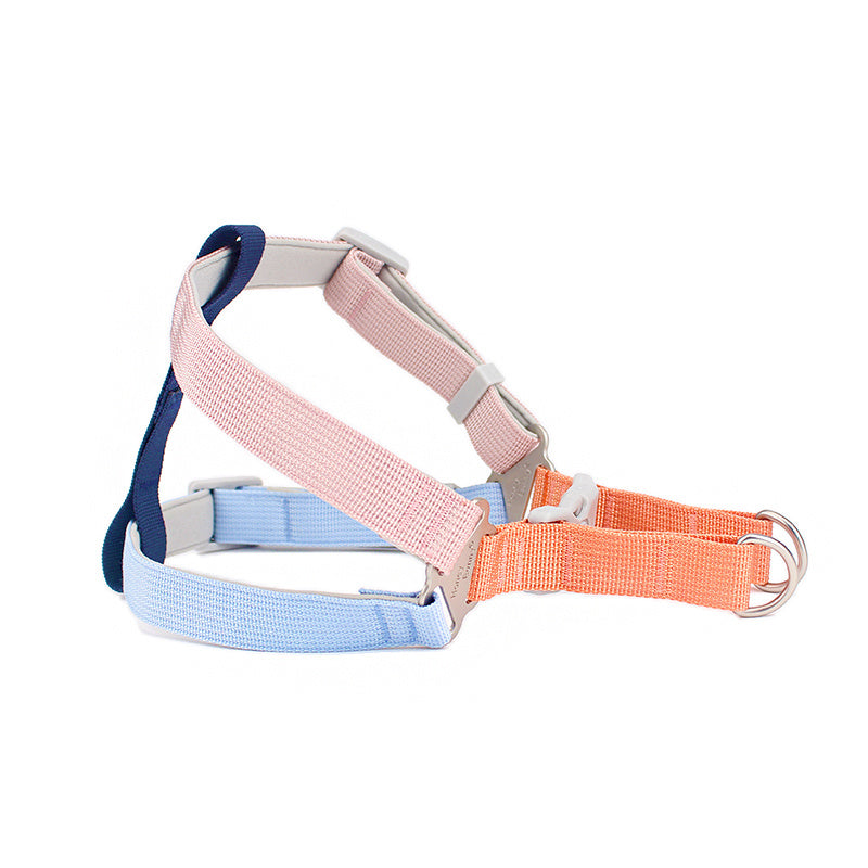 Colorful Outdoor Chest And Back Hand Holding Rope Outing Dog Leash Pet Supplies